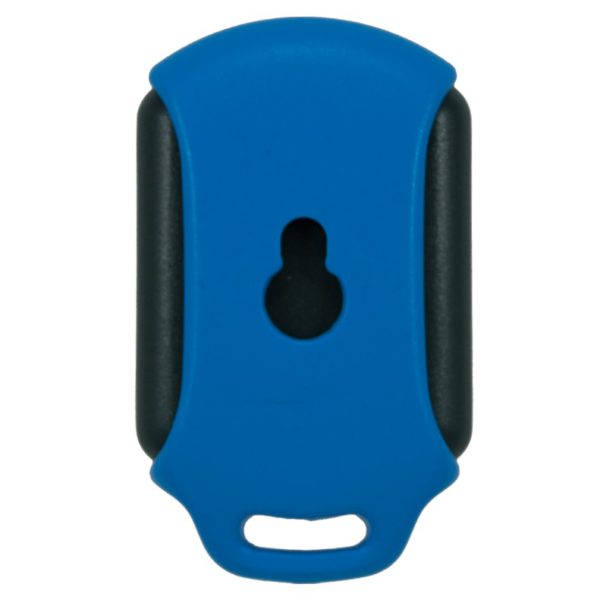 Blue Centurion Nova 2 button remote transmitter